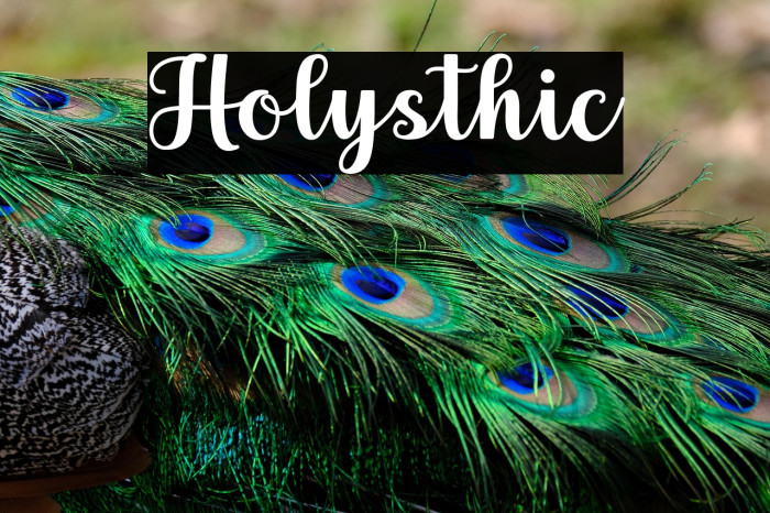 Holysthic Example 1