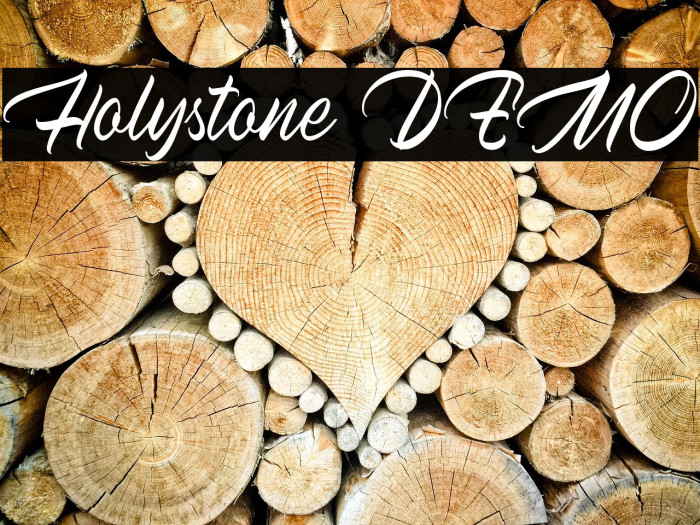 Holystone DEMO Example 1