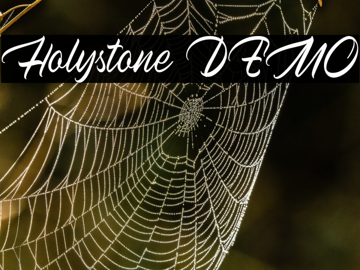 Holystone DEMO Example 3