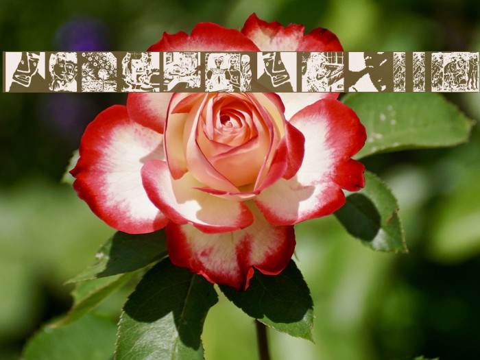 HolzSchnitte Font examples