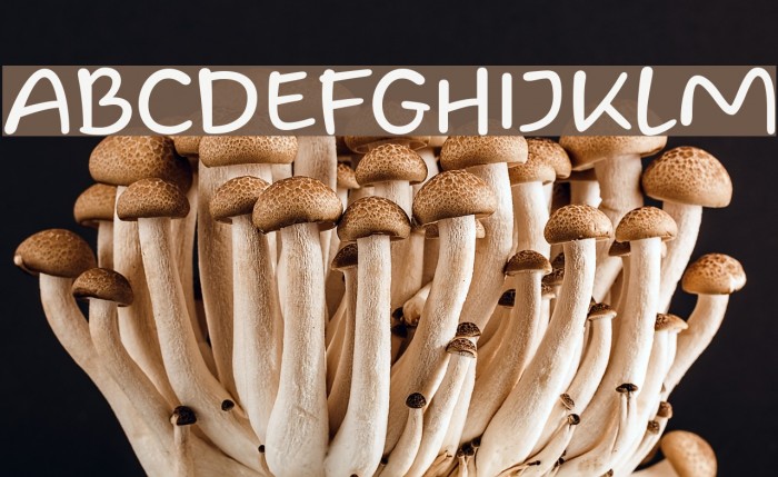 Homade McRacken Example 1