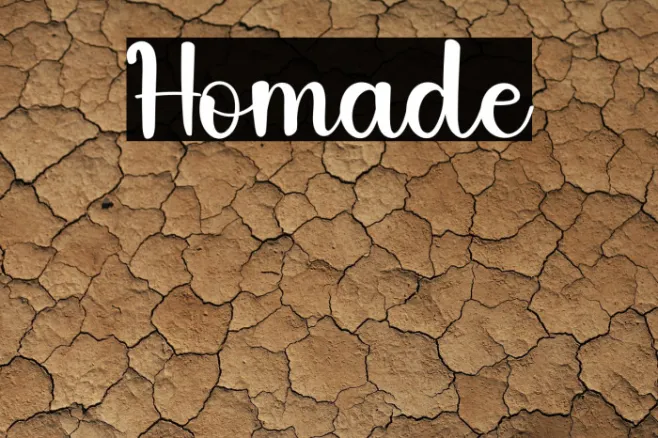 Homade Example 1