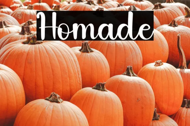 Homade Example 3