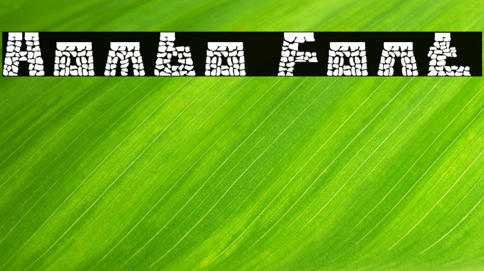 Hombo Font examples