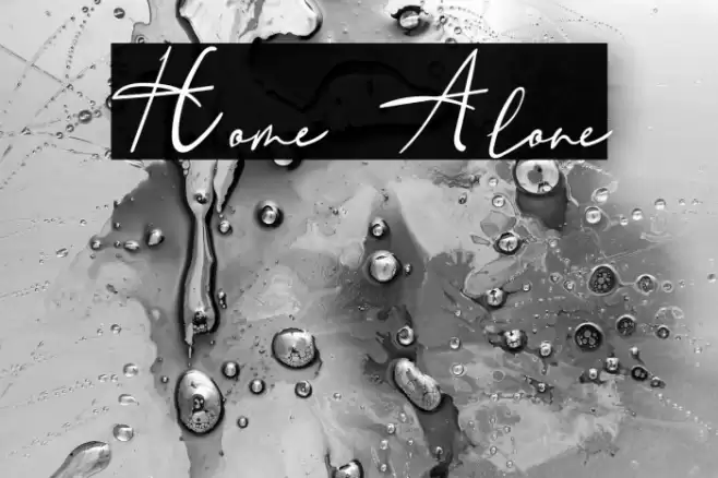 Home Alone Fonte examples