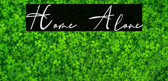 Home Alone Example 3