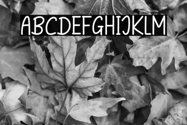 Home And Work خط examples