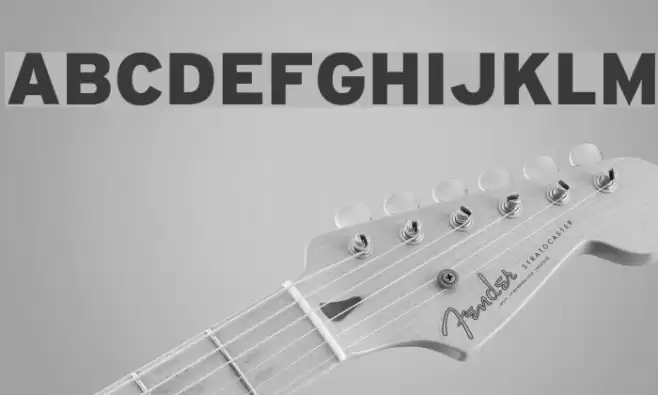 Home Bold Font examples