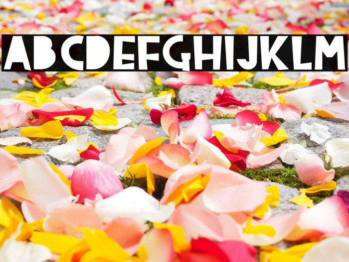 Home Coming Example 2