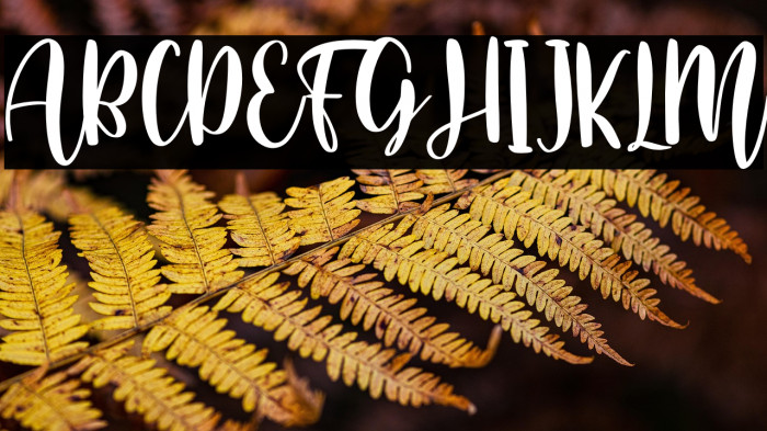 Home Crafts Example 1