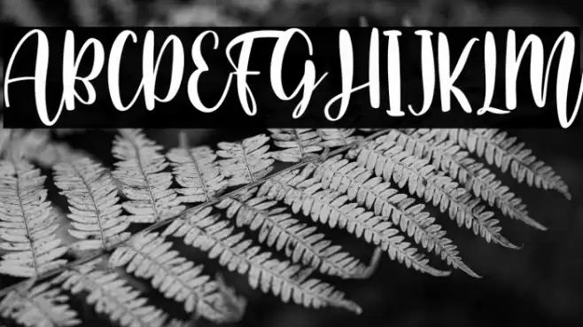 Home Crafts Font examples