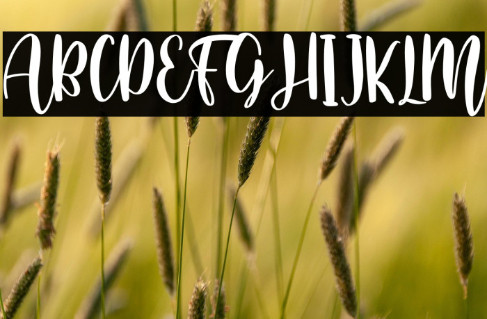 Home Crafts Example 2