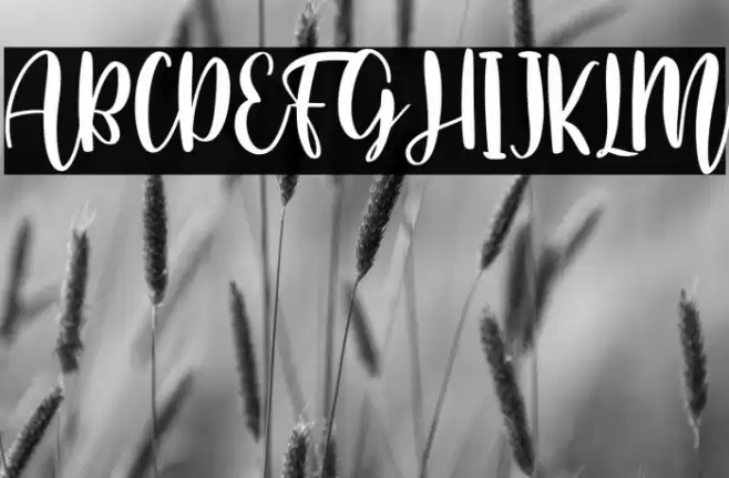 Home Crafts Font examples