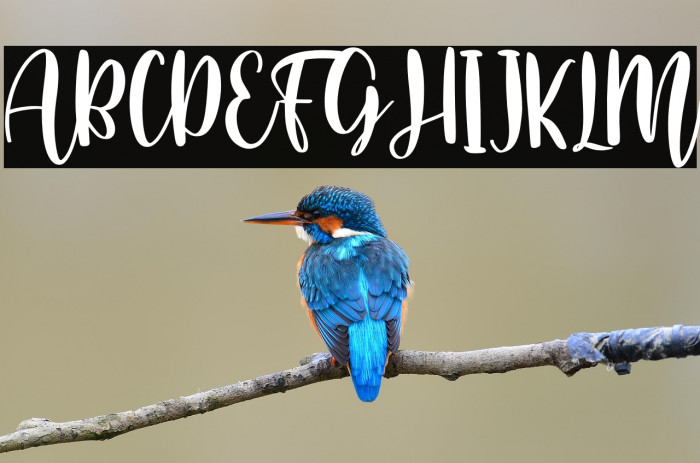 Home Crafts Example 3