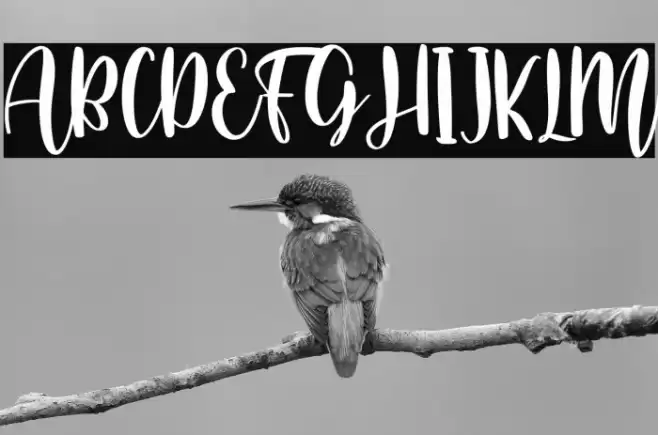 Home Crafts Font examples