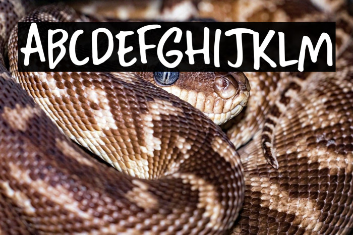 Home Education DEMO Regular Example 1