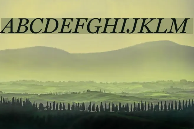 Home Italic Example 1