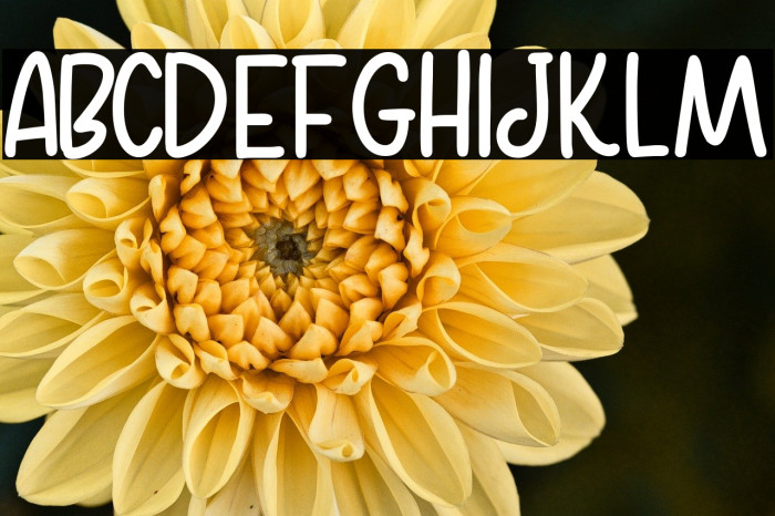 Home Kitchen Sans Bold Example 1