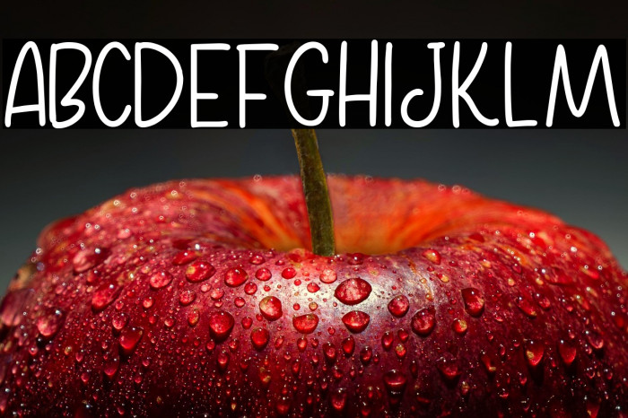 Home Kitchen Sans Reguler Example 1