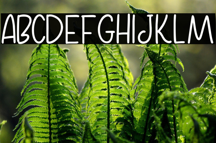 Home Kitchen Sans Reguler Example 2