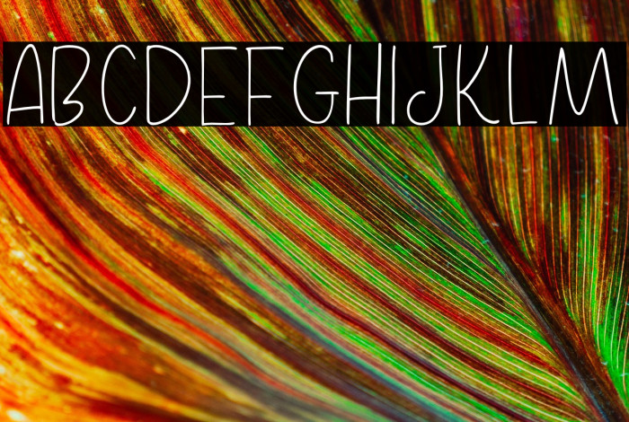 Home Kitchen Sans Thin Example 2