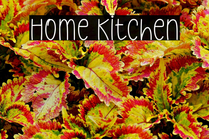 Home Kitchen Example 3