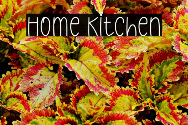 Home Kitchen Example 3