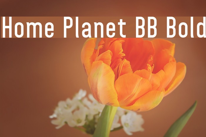 Home Planet BB Bold Font examples