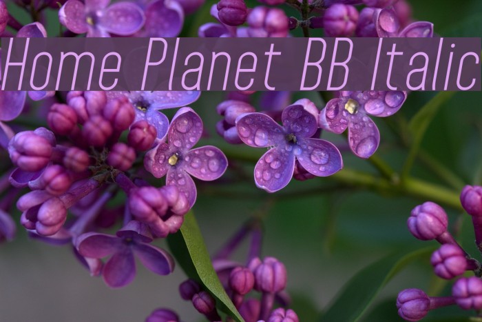 Home Planet BB Italic Font examples