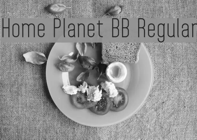 Home Planet BB Regular Font examples