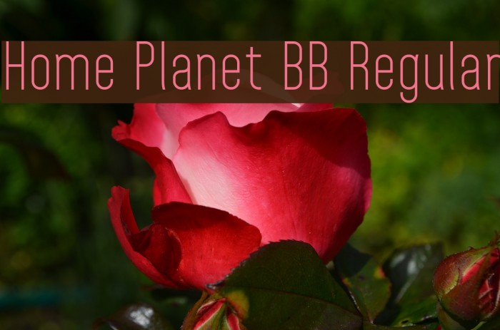 Home Planet BB Regular Font examples