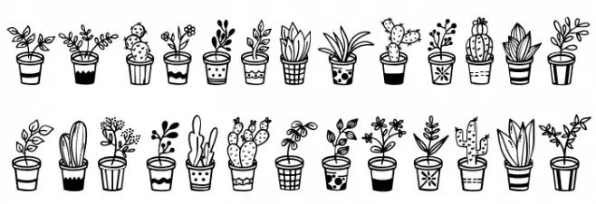 Home Plants Caratteri MAIUSCOLE