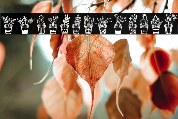 Home Plants Example 1