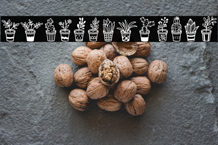 Home Plants Example 3