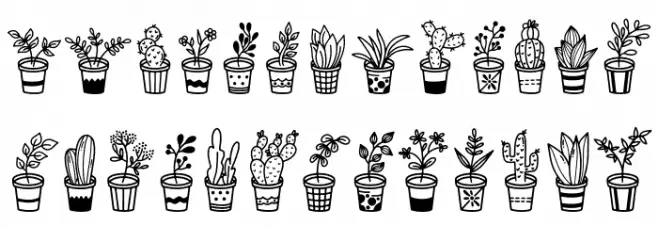 Home Plants 字体 大写