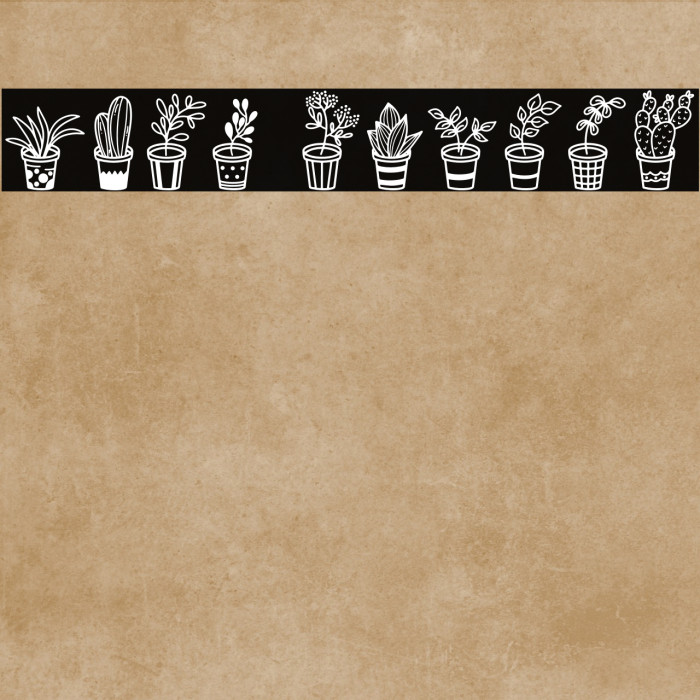 Home Plants Example 1