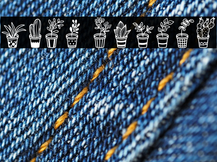 Home Plants Example 2