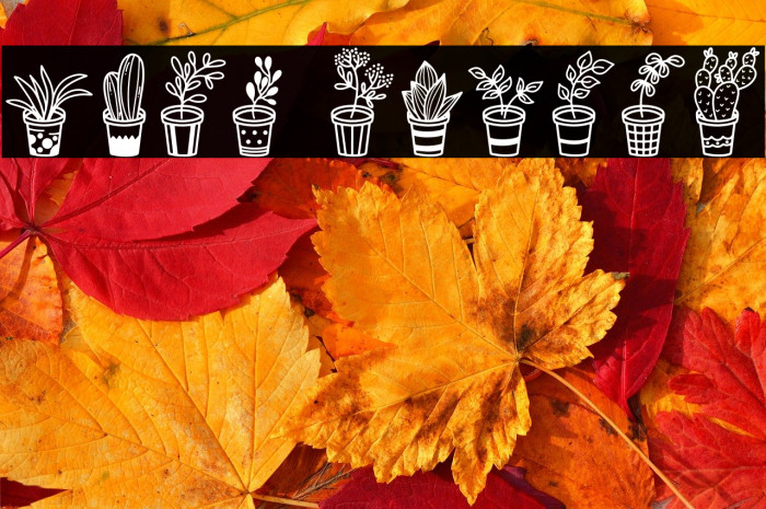 Home Plants Example 3