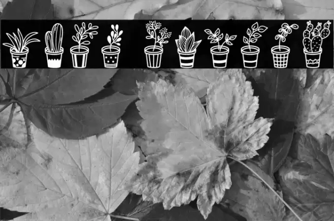Home Plants Font examples