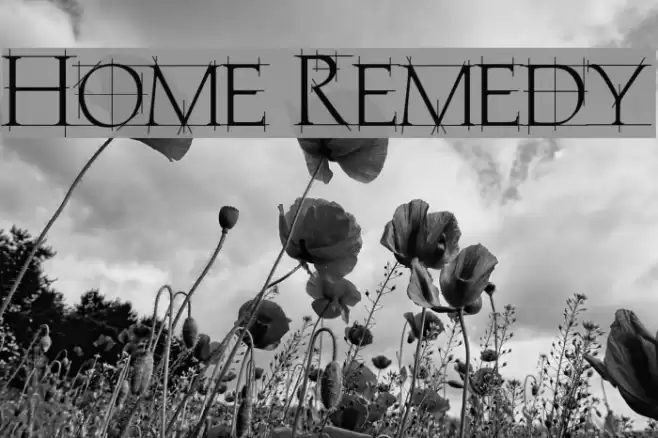 Home Remedy Font examples