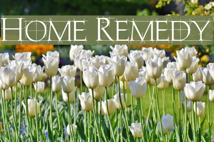 Home Remedy Font examples
