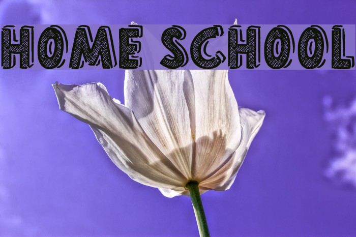 Home School Font examples