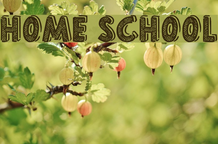 Home School Font examples