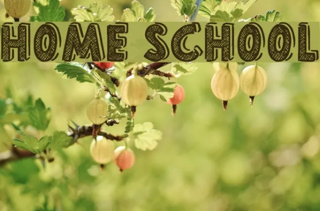 Home School Example 3