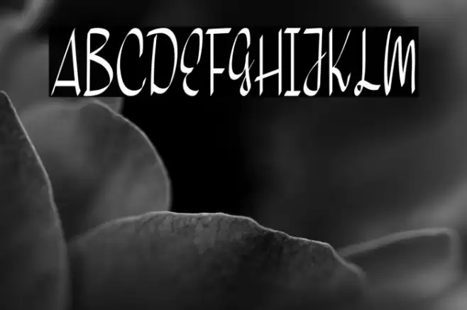 Home Snow Font examples