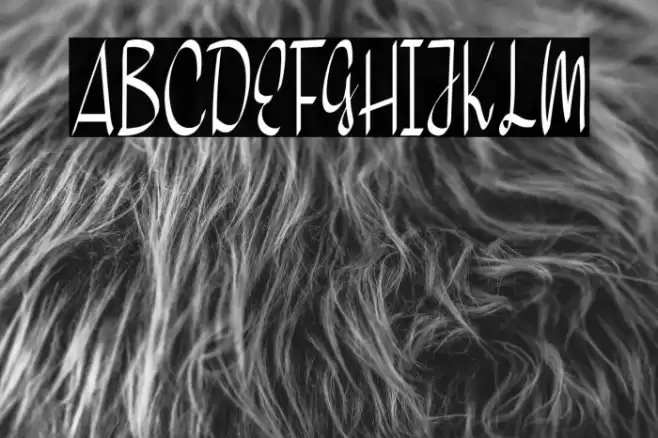 Home Snow Font examples