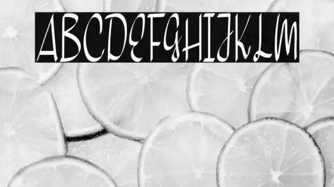 Home Snow Font examples