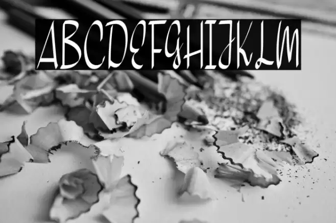 Home Snow Font examples