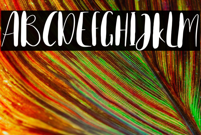 Home Spring Example 1