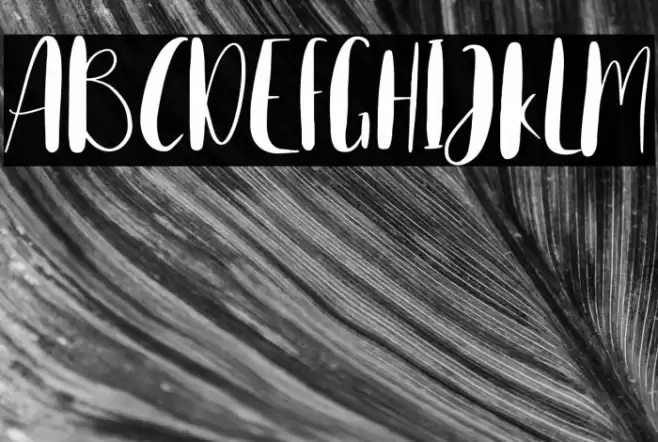 Home Spring Font examples